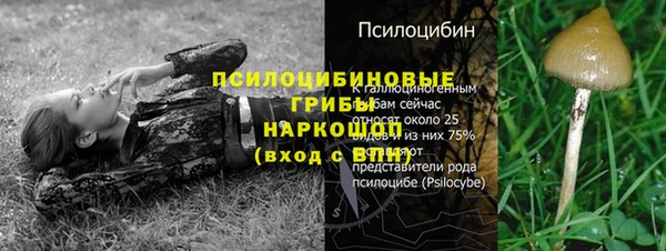 спайс Богородск