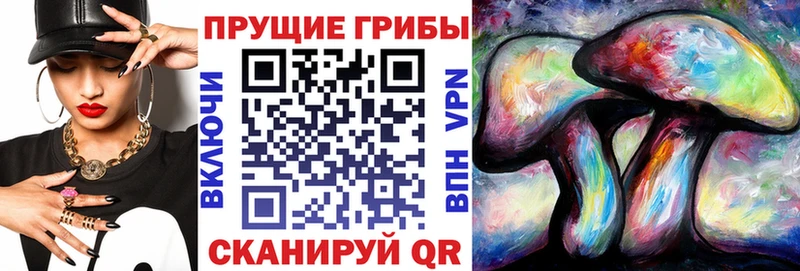 Псилоцибиновые грибы GOLDEN TEACHER  Купить  Арамиль 